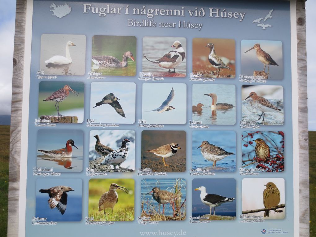 Les oiseaux d'Husey