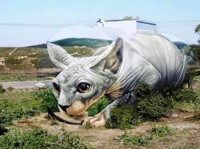 Illusions dans la peinture, les trompe-l’oeil
