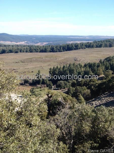 Vues d'Azrou depuis la forêt, couchers de soleil, chênes verts et cèdres de l'Atlas (cedrus atlantica)