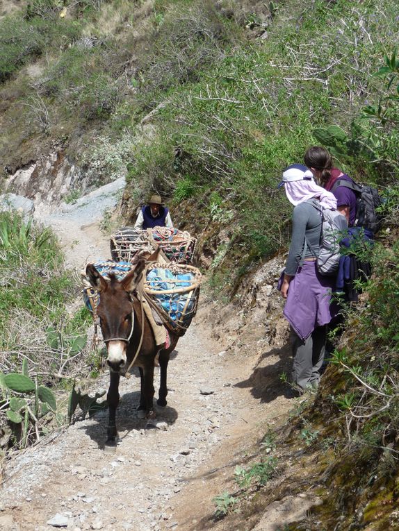 Album - 43.Canyon de Colca (Perou-Janvier)