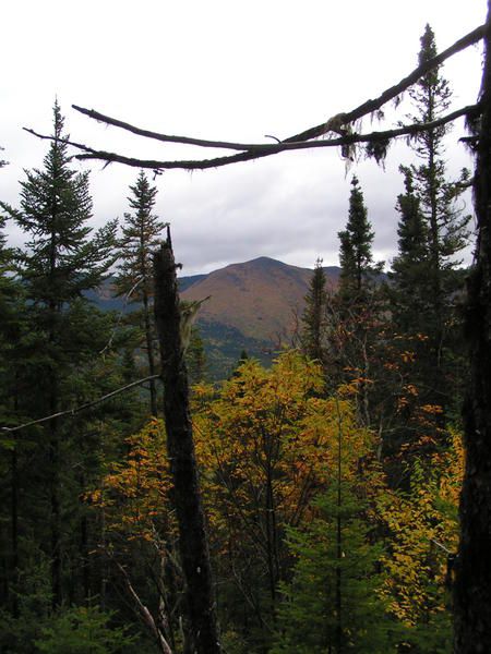 Dans la parc de la Gaspésie