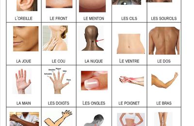 Lutin de vocabulaire : le corps