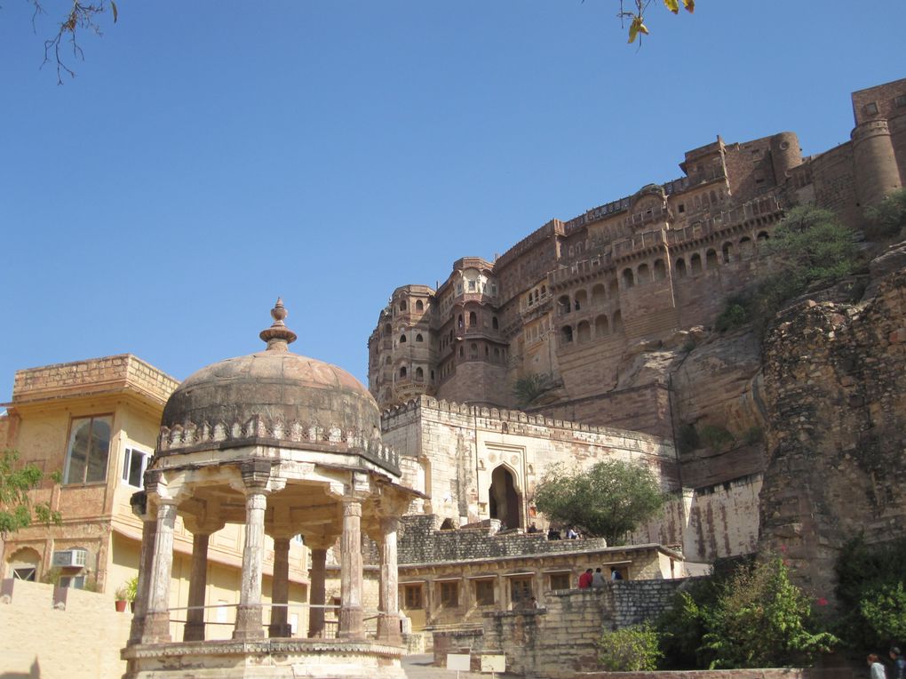 Album - INDE--Pushkar---Jodhpur