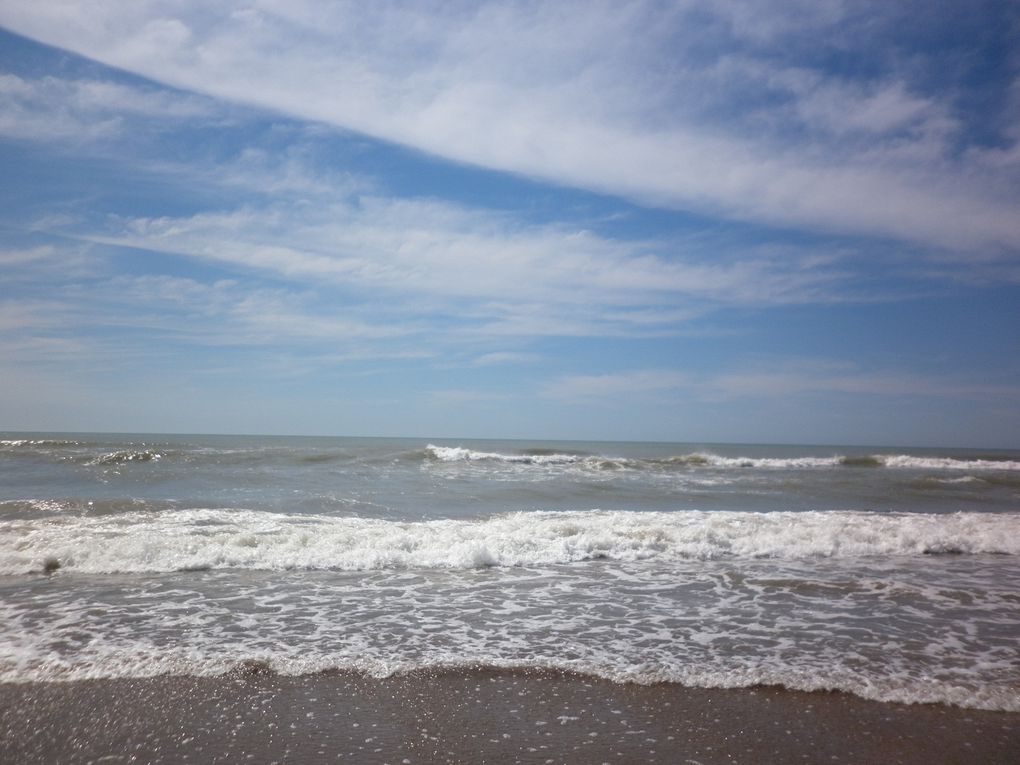 De belles vagues, cet après midi. Jugez en vous même !