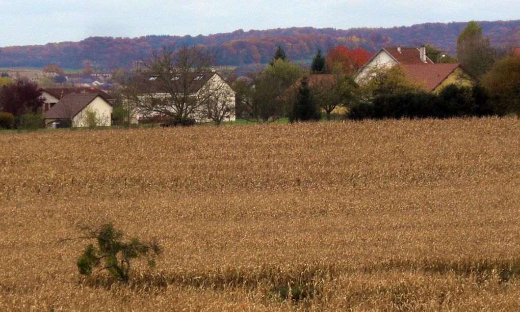 Album - Hestroff-en-automne