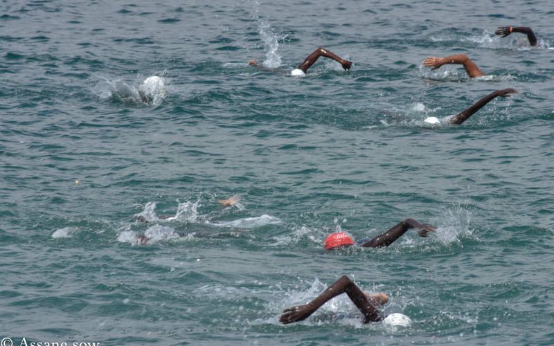 Natation: Traversée Dakar-Gorée