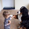 Quand un chien et un enfant se parlent...