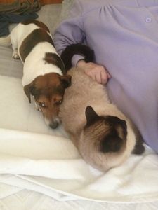 Je n'y comprends plus rien !