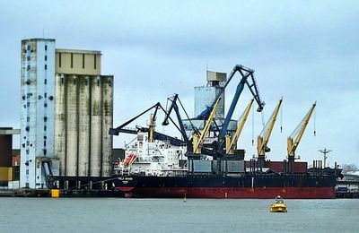 Du tournesol venu d'UKRAINE déchargé à Kergroise, port de commerce de Lorient...