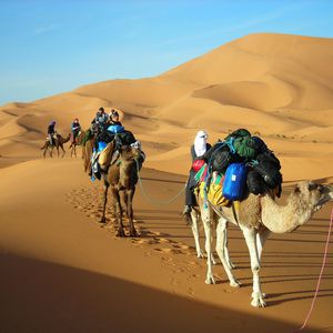 Merzouga Cameltrekking & Desert Camp