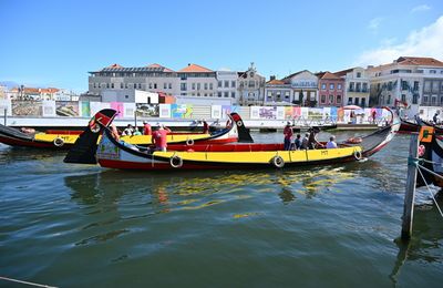 Portugal 2023 : Aveiro et Bussaco ...