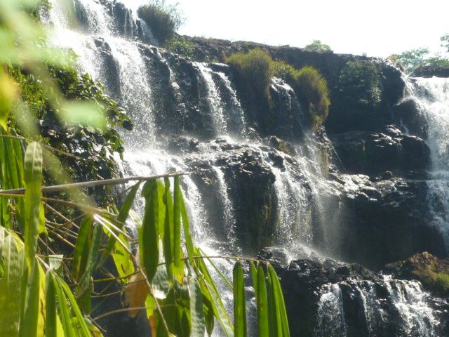 superbes cascades, plantation cafe et the, tribu Alak et leur village, les elephants et les enfants