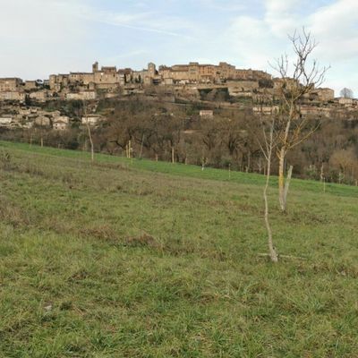 Cordes-sur-Ciel (Tarn) janvier 2023