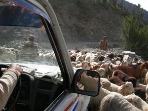 Voyage au Ladakh, août 2006. Carnet de bord