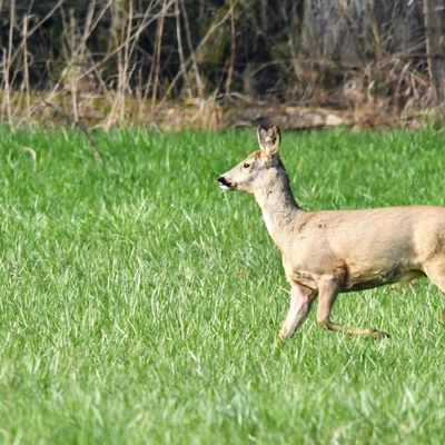 Des clichés de saison...