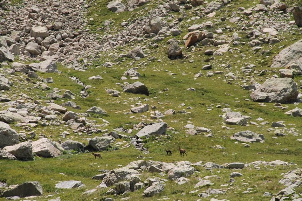 Entre Tende et Menton, les vallées de Fontalbe et de la Valmasque, à l'entrée de la Vallée des Merveilles.