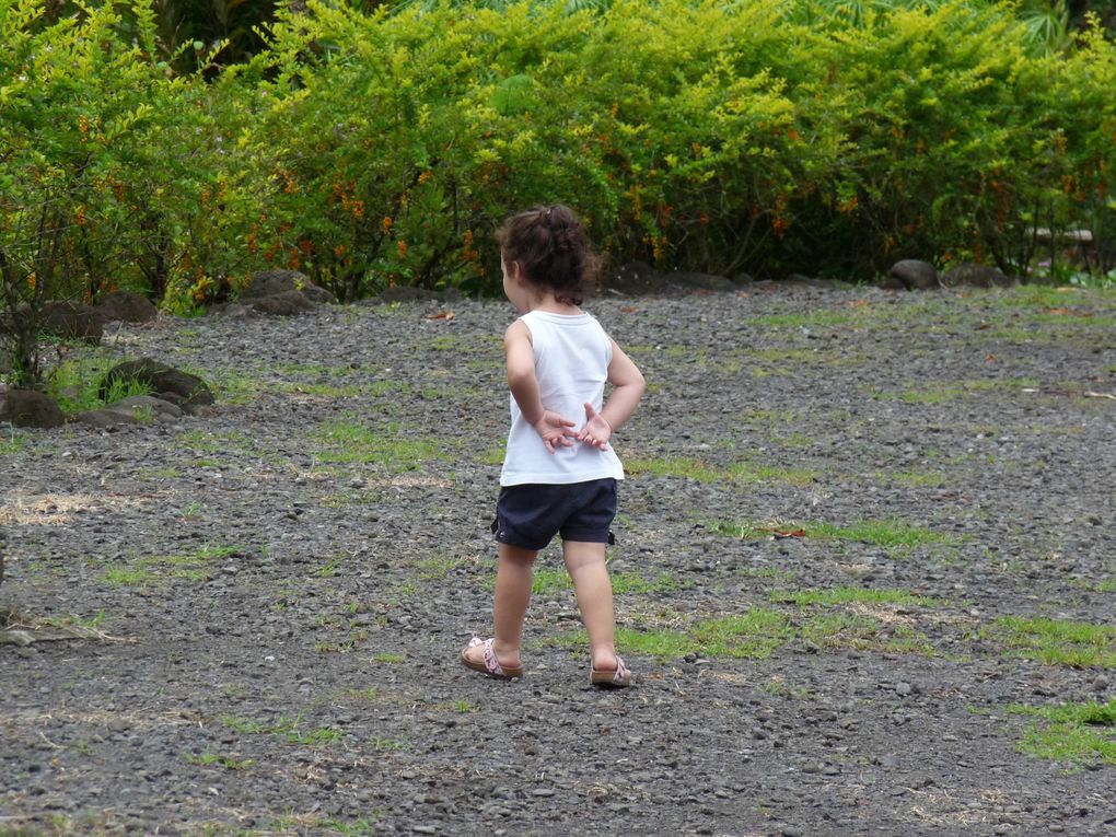 Album - Vacances Béa et Sam, 1ers jours Tahiti