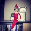 Elf on the Shelf: Week One