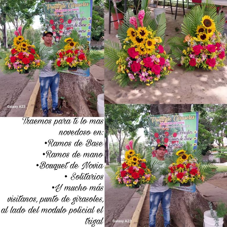 "Punto de Girasoles Milagro de Dios" ofrece variedad de flores al mayor y detal en el Trigal Norte (Publicidad)