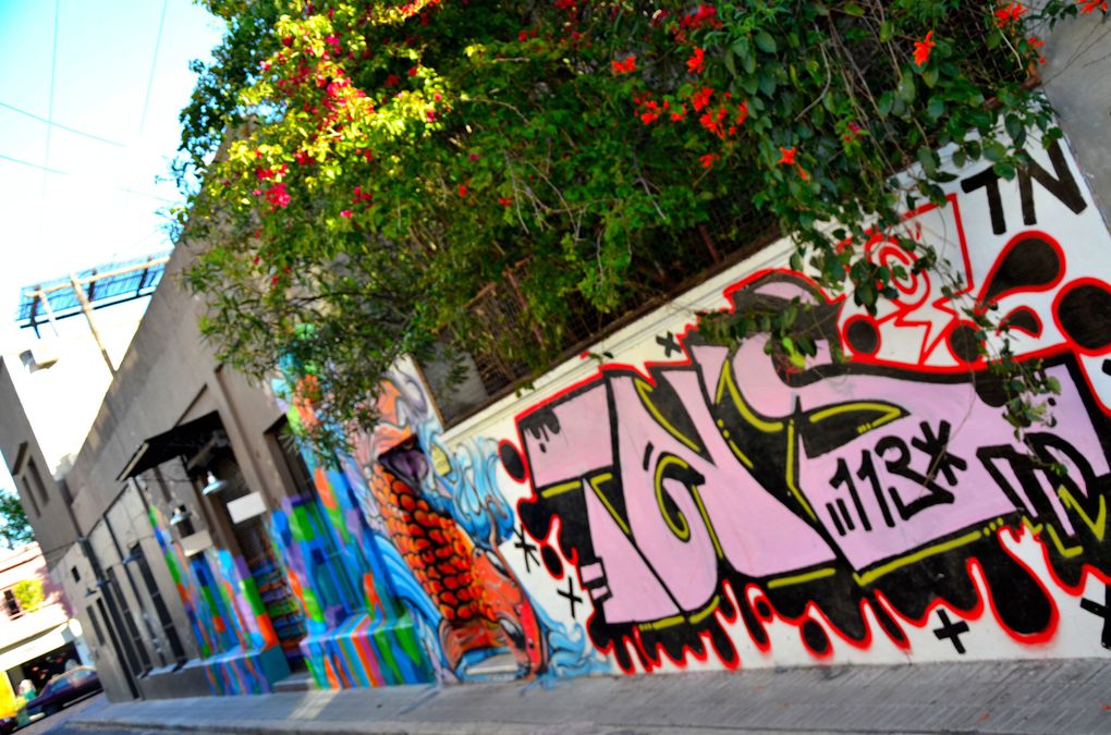 Buenos Aires regorge de taggs, véritable art de la rue. A travers mes balades je vous en sélectionne quelques uns.