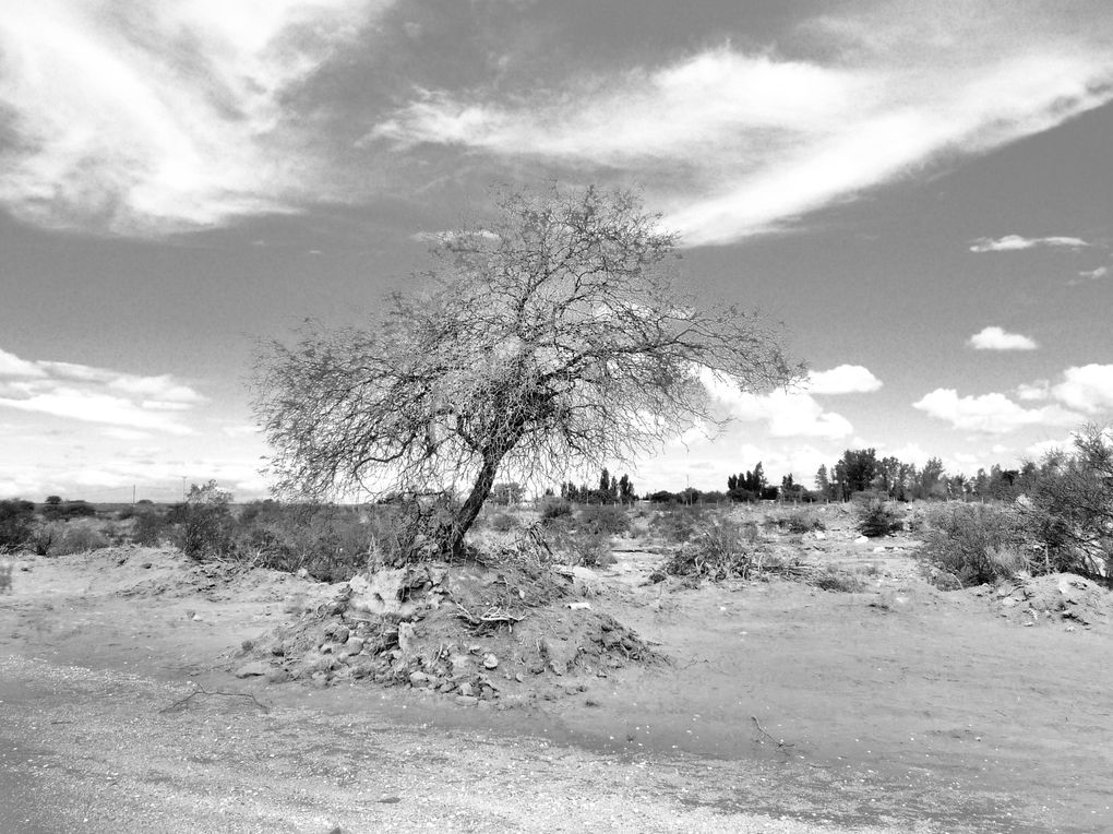 Album - 33- San-Agustin-Valle-de-la-luna-y-El-Chiflon-Argentina