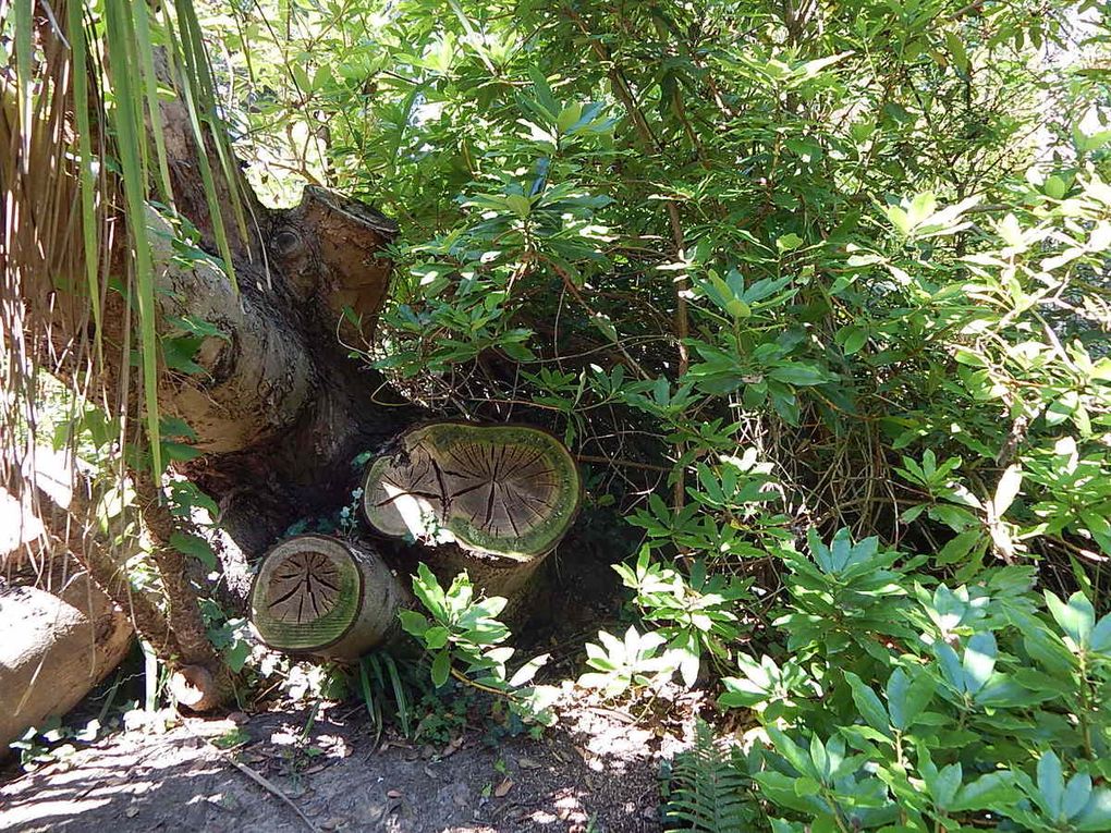 Cotentin: Le Jardin botanique de Vauville