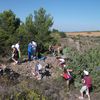 première sortie en garrigue