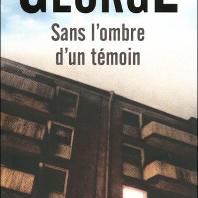 Sans l'ombre d'un témoin