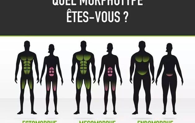 Programme pour prendre de la masse musculaire femme