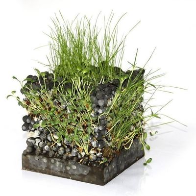 XTU, architectes des innovations biologiques