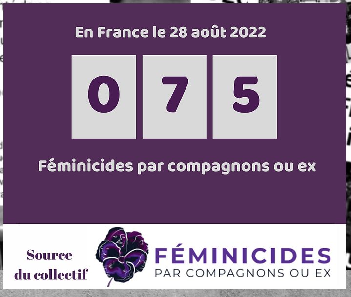 91 EME FEMINICIDES DEPUIS LE DEBUT  DE L ANNEE 2022 