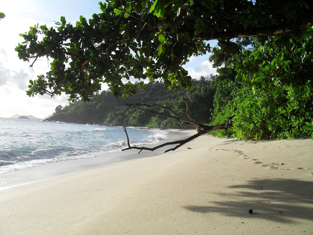 Quelque photo du voyage de mon frère au seychelles. Donner généreusement pour l'oeuvre de Dieu