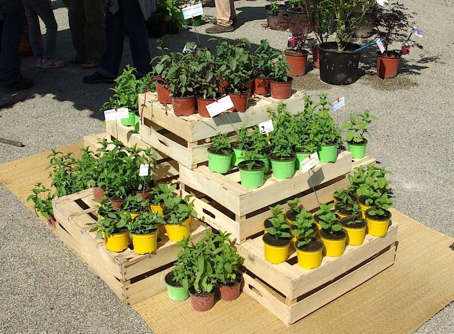 Voici notre stand au marché de Caillac le 8 mai 2011.