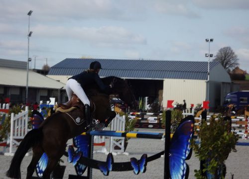 Jumping international de Strazeele 2012