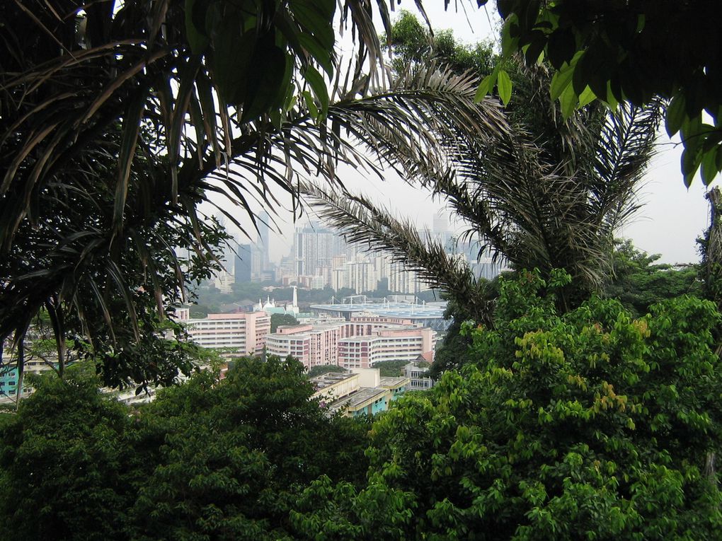 Album - mount  farber and sentosa