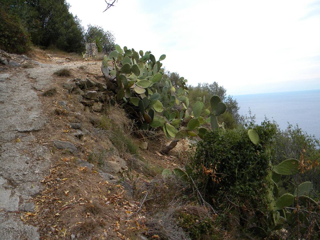 Le chemin de Savaric