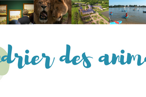Calendrier des animations du Sud Mayenne - du 02 au 15 juin 2025