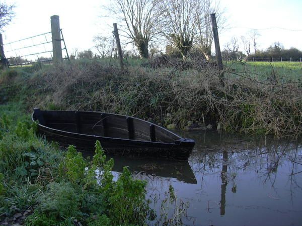 image du marais du bessin