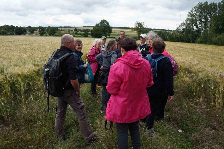 La marche du 13 juin 2019