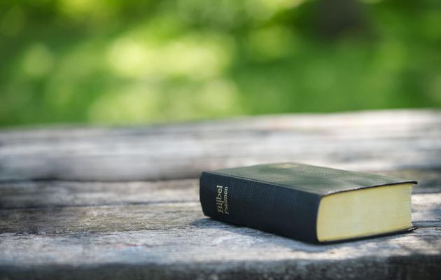 ¿Qué dice la Biblia sobre la salvación?