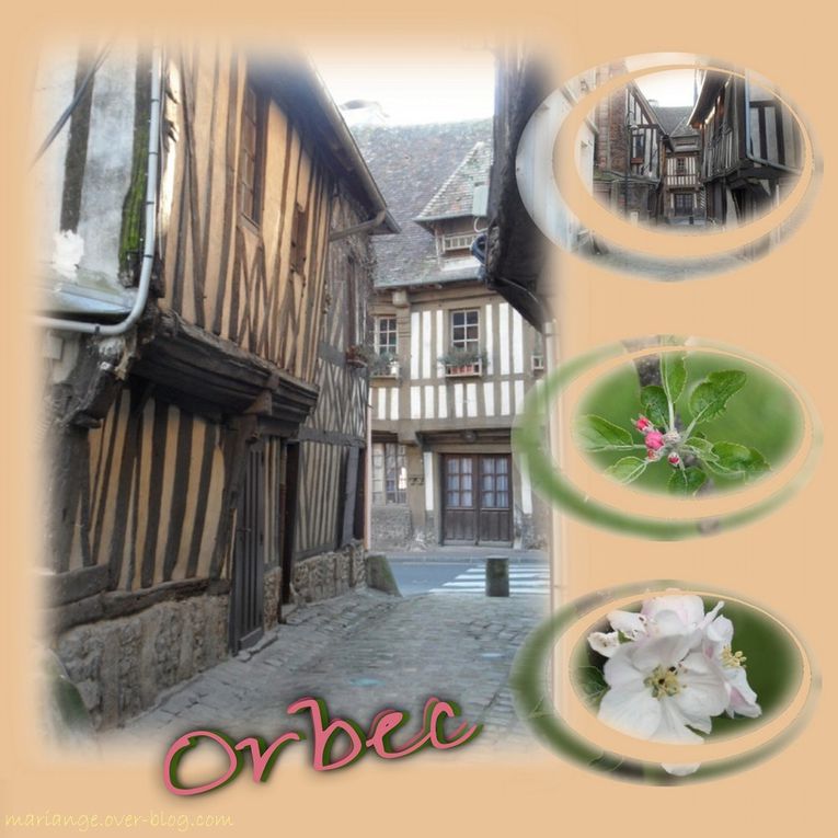 Album - orbec