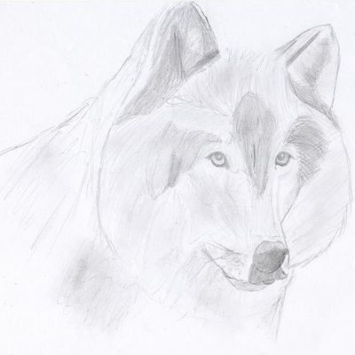 Sacrament of Wilderness