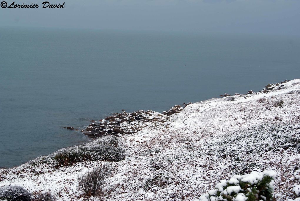 reportage photo de la neige tomber sur le nord cotentin le 27 novembre
2010