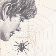 Der Junge und das Spinnennetz