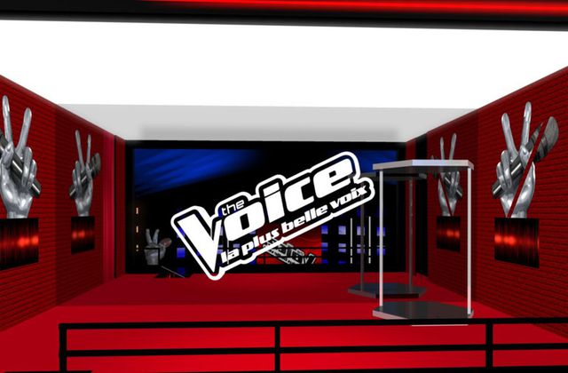 Dispositif social pour The Voice et les show live : arrivée de la capsule Vine.