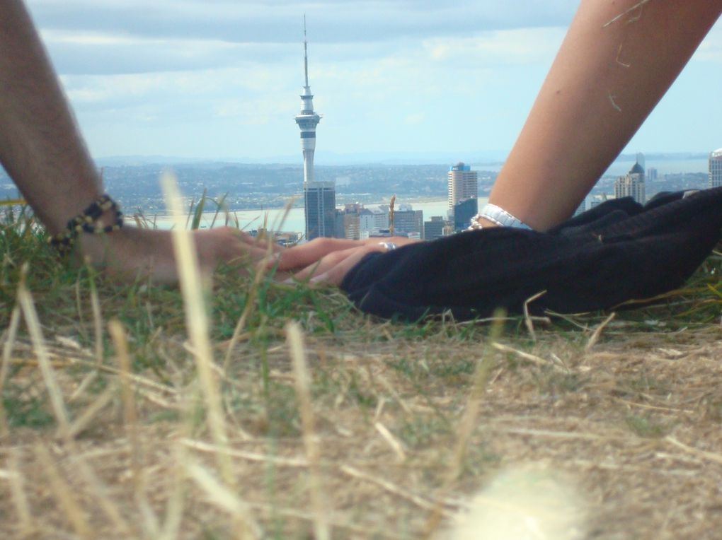 Voici quelques photos d'Auckland, ses parcs et ses buldings