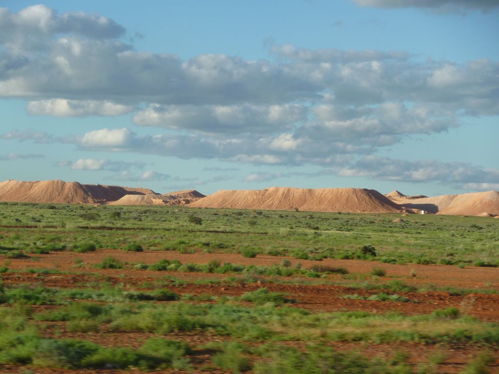 Album - Roadtrip-zum-ULURU-via-Great-Ocean-Road