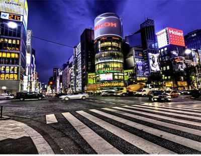 Tourisme : Une immersion au coeur des coutumes de la capitale japonaise
