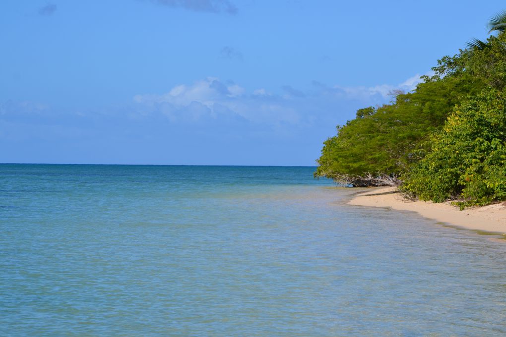 Album - Les-plages