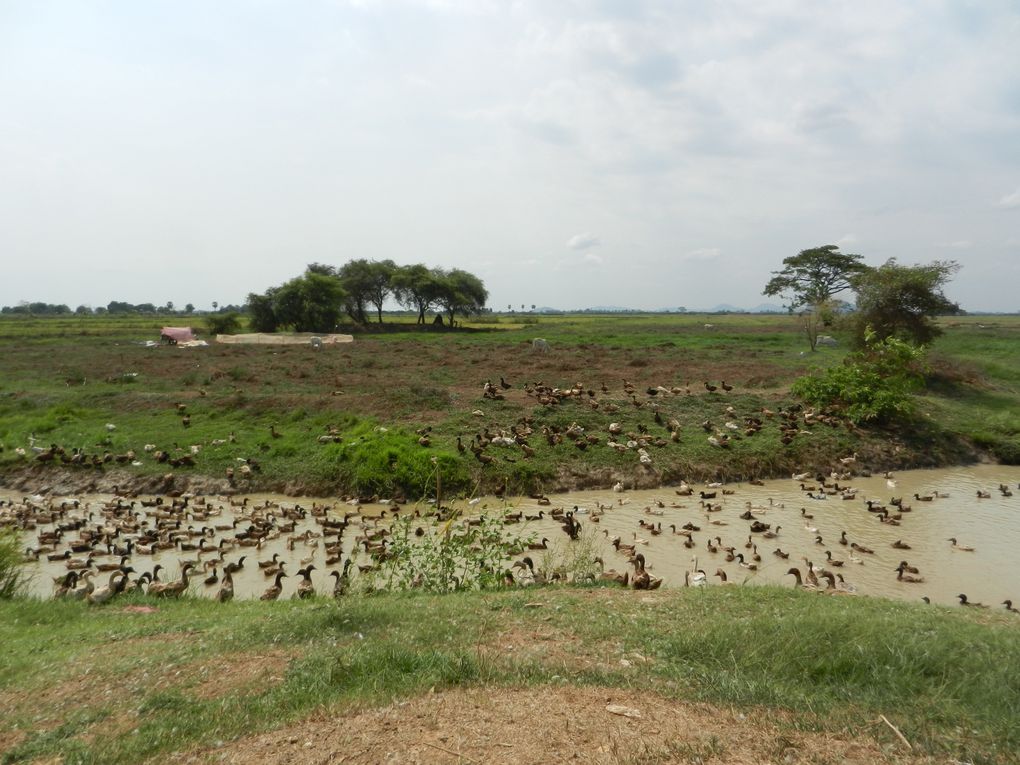 Album - De-Battambang-a-Siem-Reap